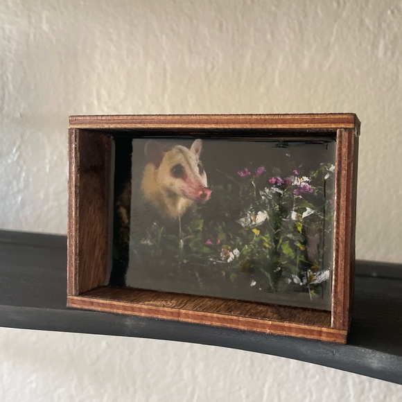 Possum image incased in resin I small wood frame box - Picture 2 of 3